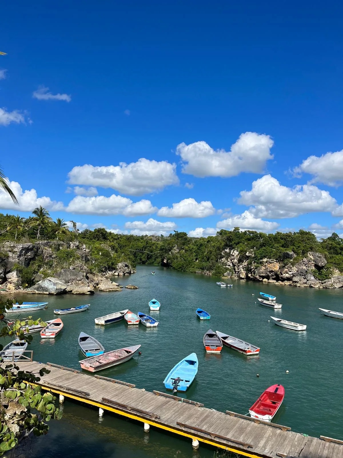 Harbor with colorful boats